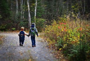 Two children with their backs to the camera holding hands in the woods