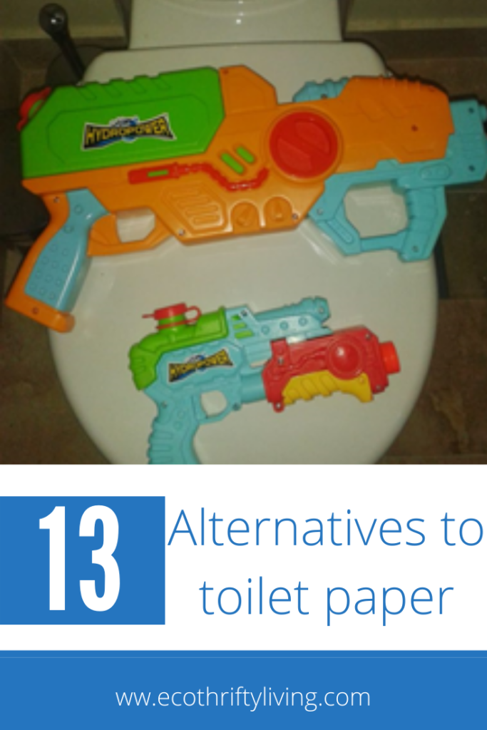 Alternatives to toilet paper, toilet roll, water pistol