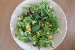 Courgette flower salad