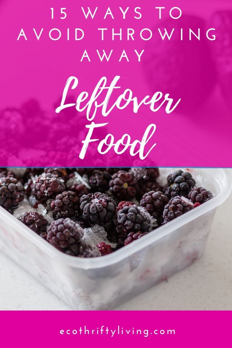 Leftover food 15 ways to avoid throwing it away Eco Thrifty Living